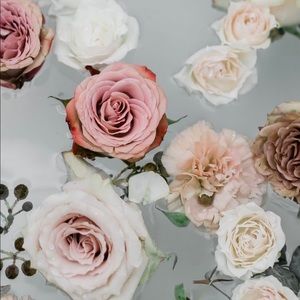 Meet your Posher, Missy